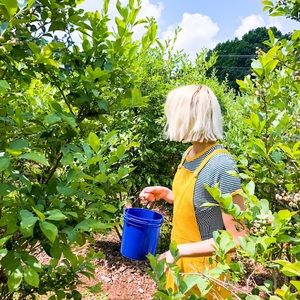 Meet your Posher, Lex